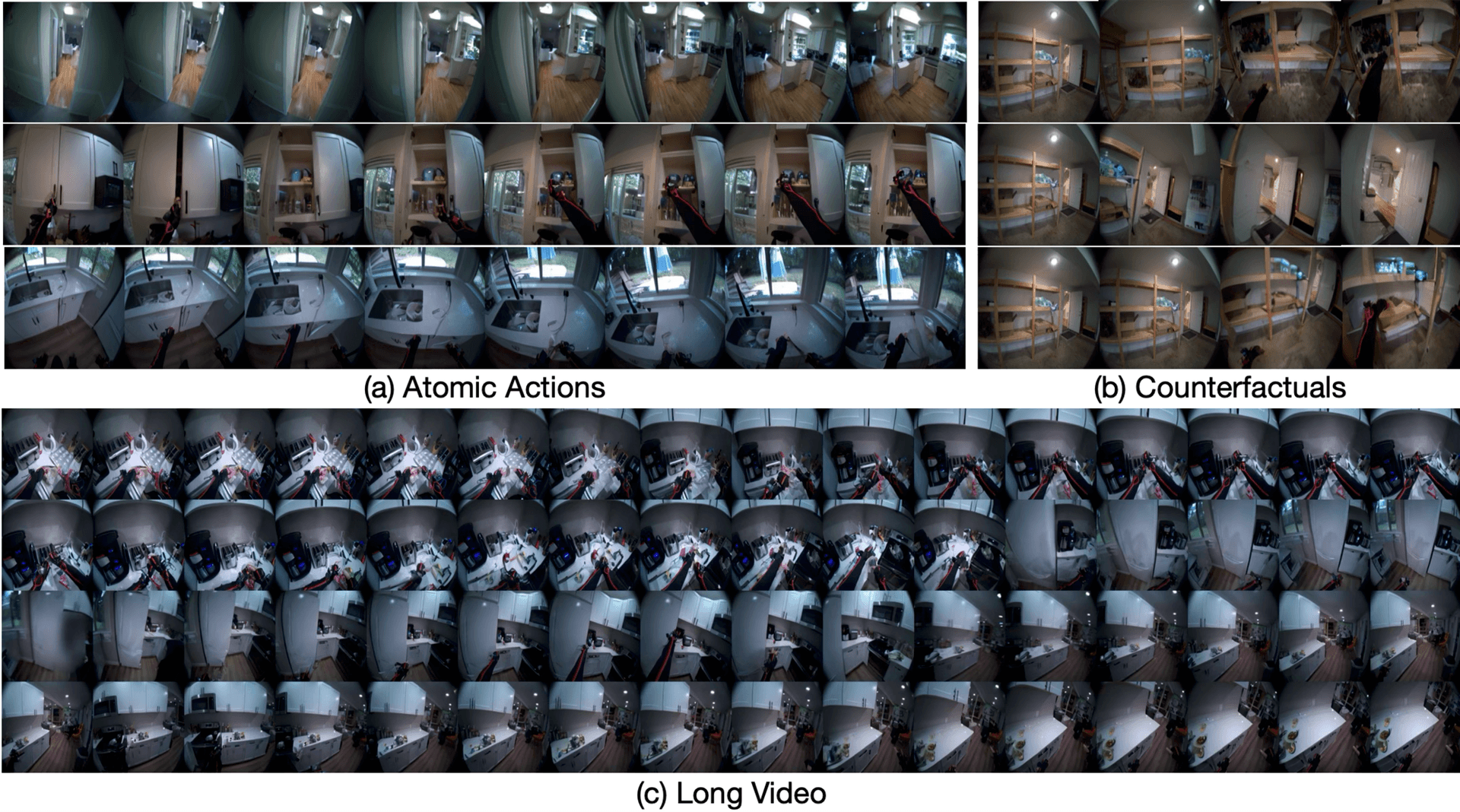 Whole-Body Conditioned Egocentric Video Prediction