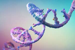 "AI가 생명의 코드를 작성하다"...美 아크 연구소, AI 기반 단백질 진화 플랫폼 ‘멀티-이볼브’ 오픈소스로 공개