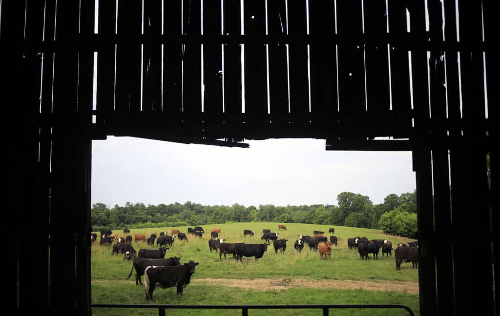 Data center builders thought farmers would willingly sell land, learn otherwise