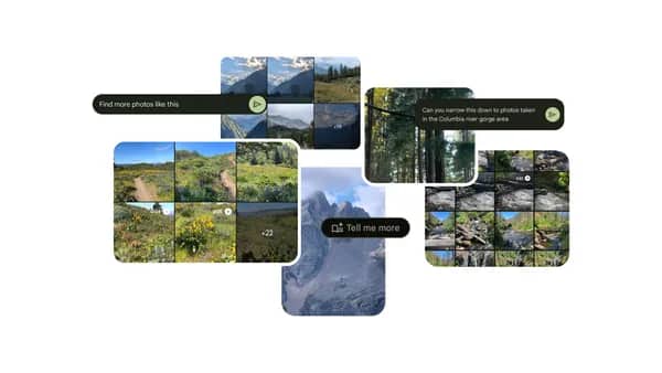 9 fun questions to try asking Google Photos